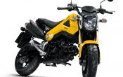 Honda MSX125 2013 (1)