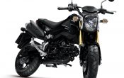 Honda MSX125 2013 (2)