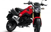 Honda MSX125 2013 (3)