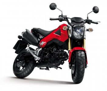 Honda MSX125 2013 (3)