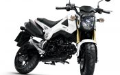 Honda MSX125 2013 (4)