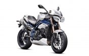 Triumph Speed Triple SE Sondermodell 2013-2