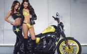 Rockstar Energy Harley-Davidson Girls-4