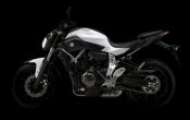 Yamaha MT-07 2014 (3)