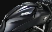 Yamaha MT-07 2014 (31)