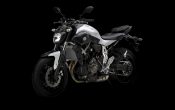 Yamaha MT-07 2014 (4)