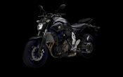 Yamaha MT-07 2014 (8)