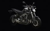 Yamaha MT-09 2014 (10)