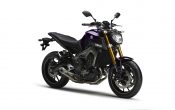 Yamaha MT-09 2014 (2)