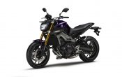 Yamaha MT-09 2014 (4)