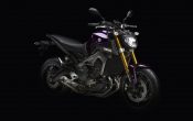 Yamaha MT-09 2014 (5)