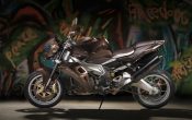 aprilia-stingray-by-vilner-2013-2