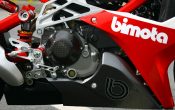 big_bimota_db7_14