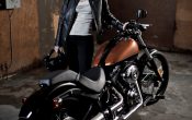 harley-davidson-softail-blackline-2011 (19)