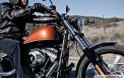 harley-davidson-softail-blackline-2011 (5)