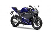 Yamaha YZF-R125 2014 (8)