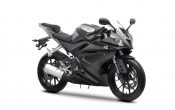 Yamaha YZF-R125 2014 (9)