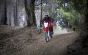 honda-honda-crf250l-2012-40