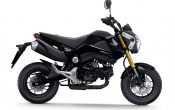 Honda MSX125 2013 (1)