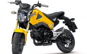 Honda MSX125 2013 (18)