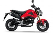 Honda MSX125 2013 (2)