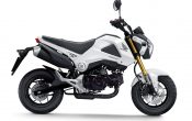 Honda MSX125 2013 (3)