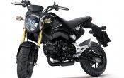 Honda MSX125 2013 (8)