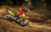 Suzuki RM-Z450 2015 Action (1)