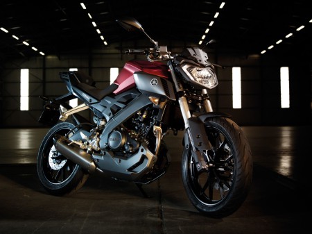 Yamaha MT-125 2014 (1)