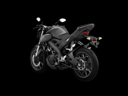 Yamaha MT-125 2014 (8)