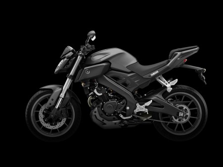 Yamaha MT-125 2014 (9)