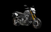 Yamaha MT-09 Street Tracker 2014 (1)