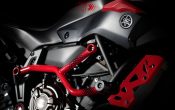 Yamaha MT-07 Moto Cage 2015 (10)