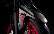 Yamaha MT-07 Moto Cage 2015 (12)