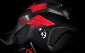 Yamaha MT-07 Moto Cage 2015 (15)