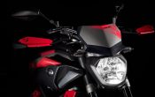 Yamaha MT-07 Moto Cage 2015 (16)