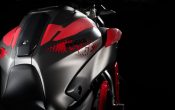 Yamaha MT-07 Moto Cage 2015 (19)