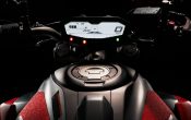 Yamaha MT-07 Moto Cage 2015 (21)