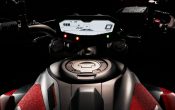 Yamaha MT-07 Moto Cage 2015 (21)
