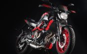 Yamaha MT-07 Moto Cage 2015 (22)