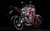 Yamaha MT-07 Moto Cage 2015 (23)