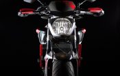 Yamaha MT-07 Moto Cage 2015 (24)