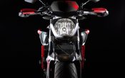 Yamaha MT-07 Moto Cage 2015 (24)