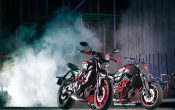 Yamaha MT-07 Moto Cage 2015 (30)