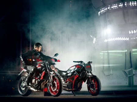 Yamaha MT-07 Moto Cage 2015 (32)