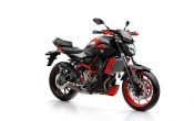 Yamaha MT-07 Moto Cage 2015 (33)