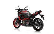 Yamaha MT-07 Moto Cage 2015 (35)