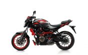 Yamaha MT-07 Moto Cage 2015 (36)