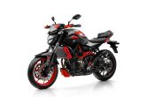 Yamaha MT-07 Moto Cage 2015 (37)