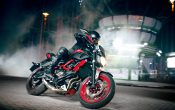 Yamaha MT-07 Moto Cage 2015 (6)